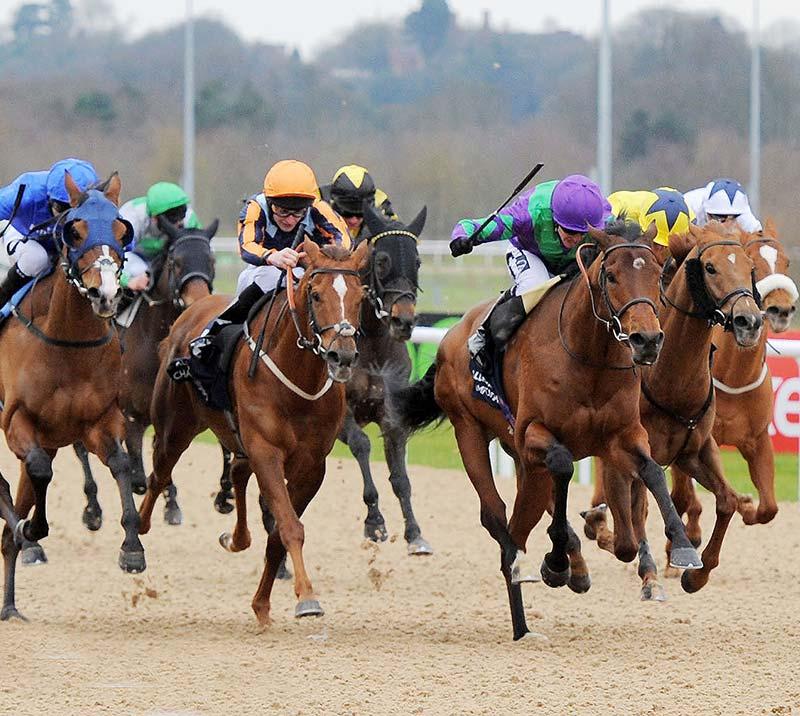 Group of jockeys racing at Wolverhampton Racecourse.
